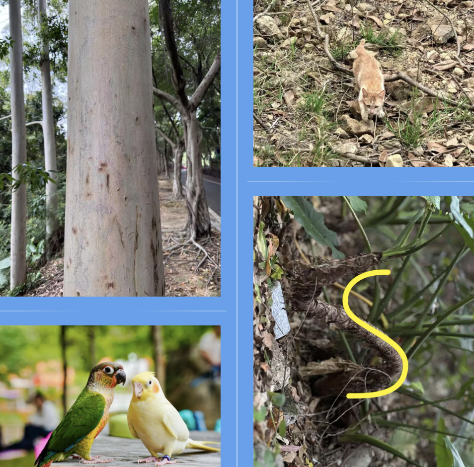 beats365(�й���)-Ψһ�ٷ���վ